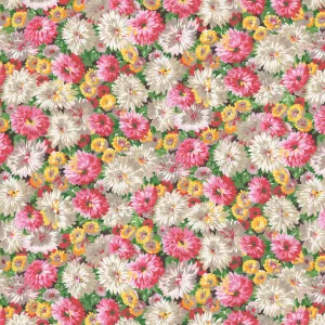 COTTAGE GARDEN  Daisy Extravaganza MULTI PWSL134 by Philip Jacobs SNOW LEOPARD) Priced per 25cm