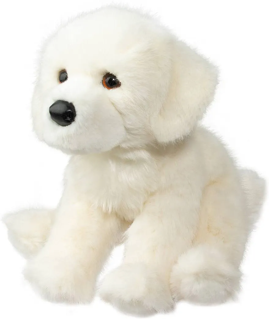 Everest White Retriever Dog
