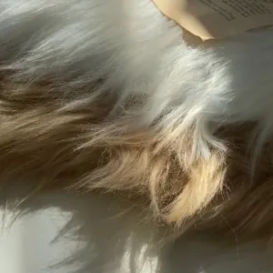 【即納品】fake fur  photo item ホワイト　LVS185FW