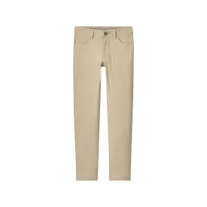 FUSIONN PANT STONE