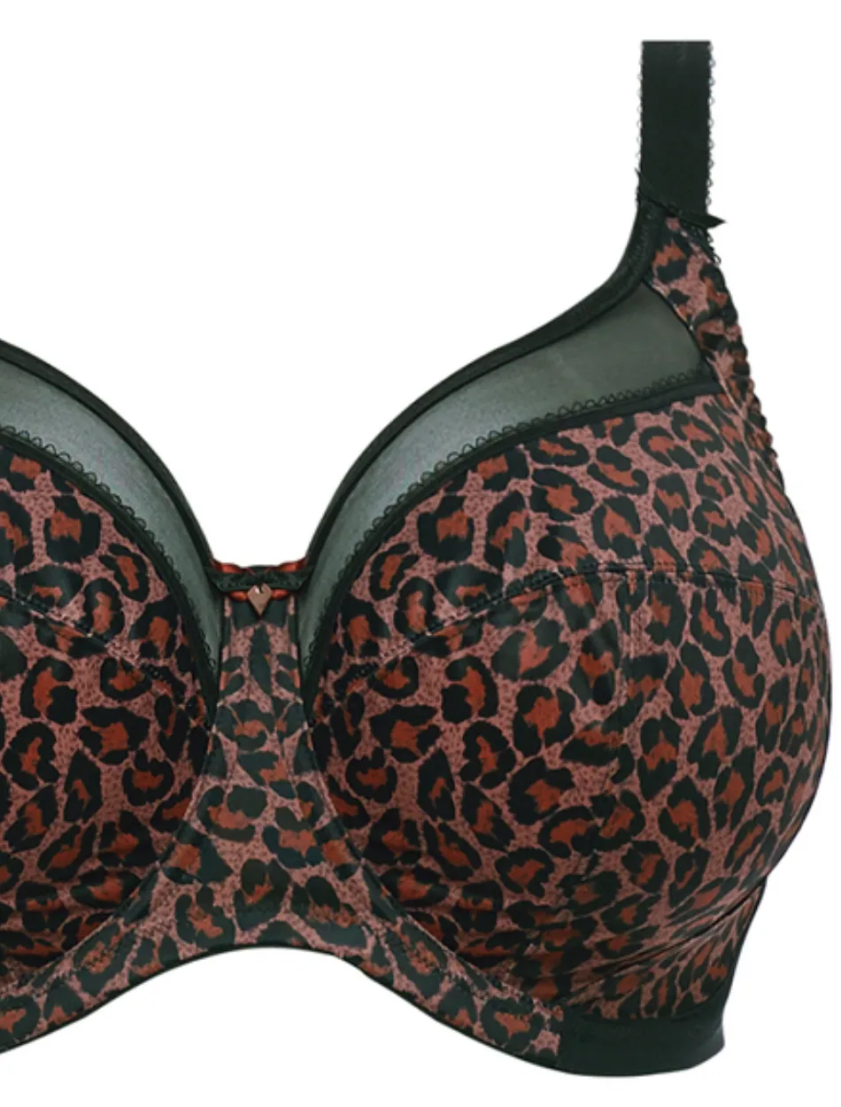 Goddess Kayla Underwire Banded Bra, Dark Leopard | Goddess Kayla Bra Leopard | Leopard Goddess Kayla BraGoddess