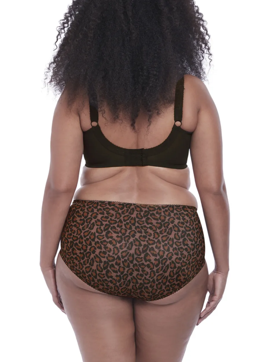 Goddess Kayla Underwire Banded Bra, Dark Leopard | Goddess Kayla Bra Leopard | Leopard Goddess Kayla BraGoddess