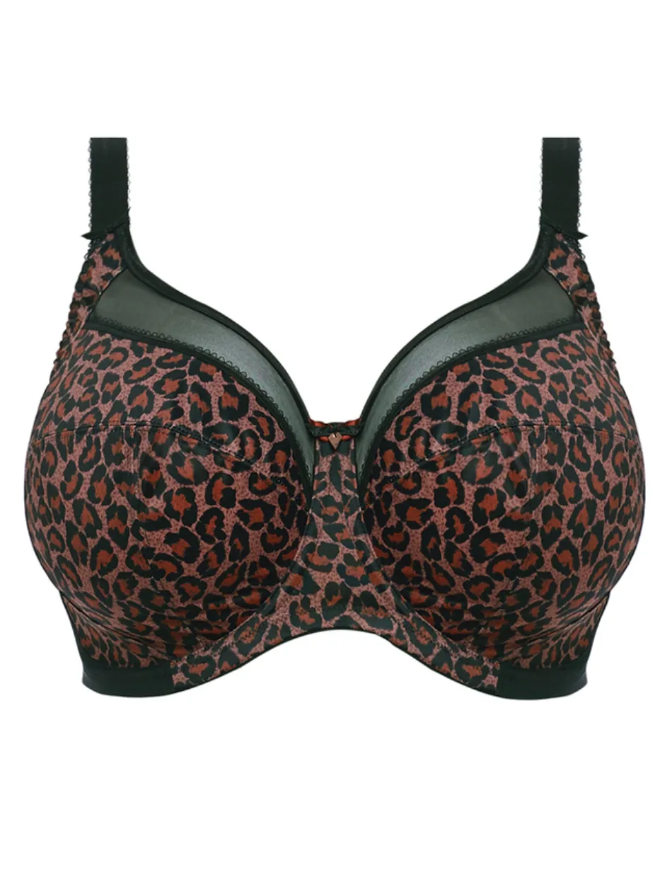Goddess Kayla Underwire Banded Bra, Dark Leopard | Goddess Kayla Bra Leopard | Leopard Goddess Kayla BraGoddess