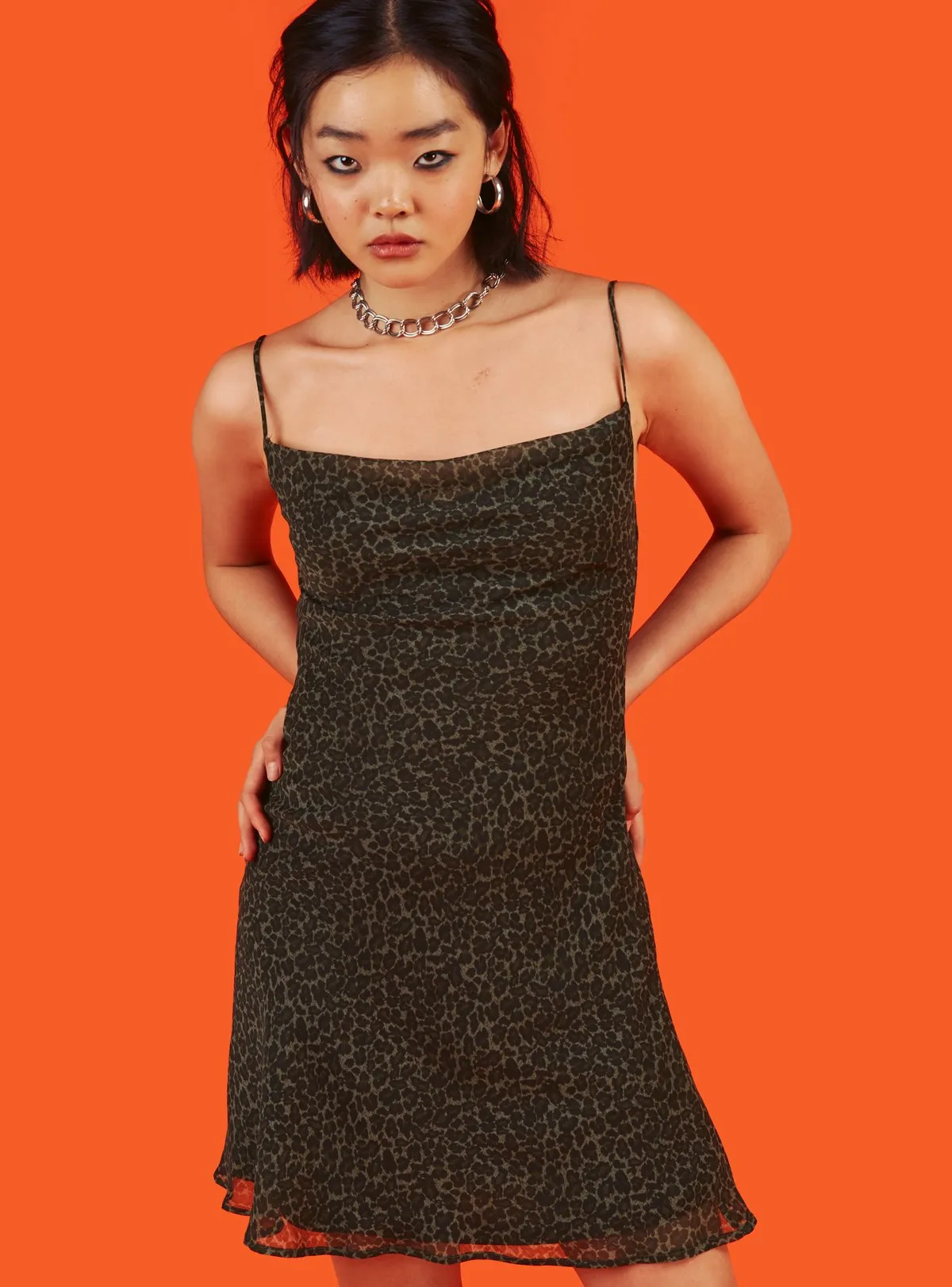 Kitten Dress