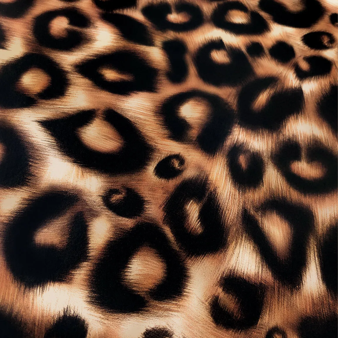 Leopard Print Wallpaper Sample