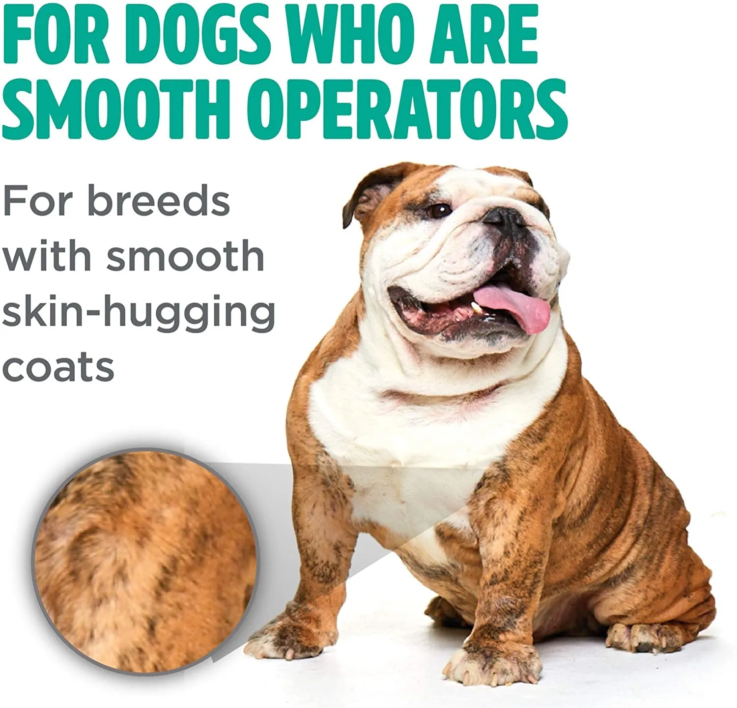 Tropiclean Perfectfur Smooth Coat Shampoo for Dogs